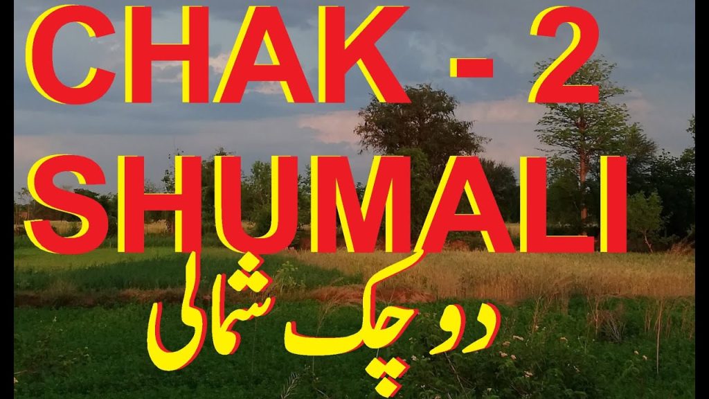 Chak No. 2 Shamali mandi bahauddin چک نمبر 2