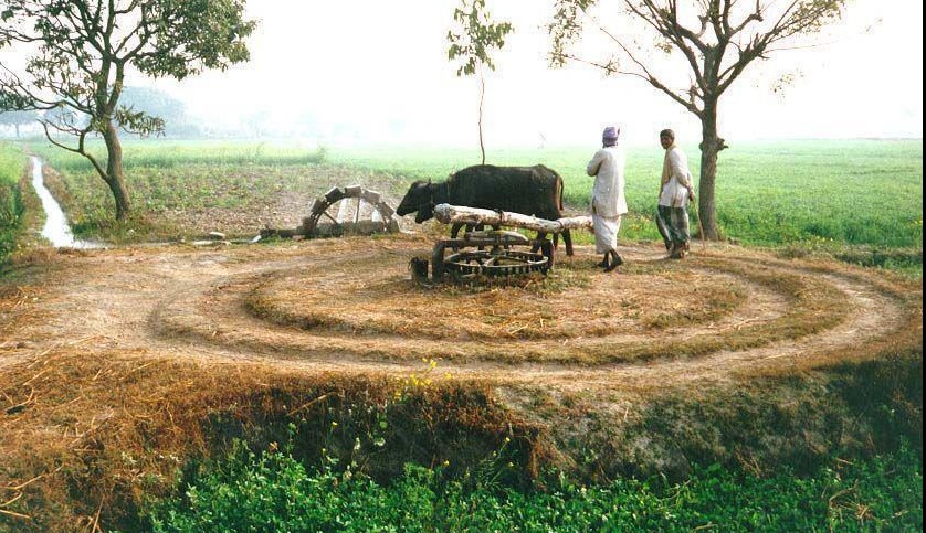 Pakistani Village Life: Two villagers at a well - Photos of Pakistani Villages, Pictures of Pakitani Villages