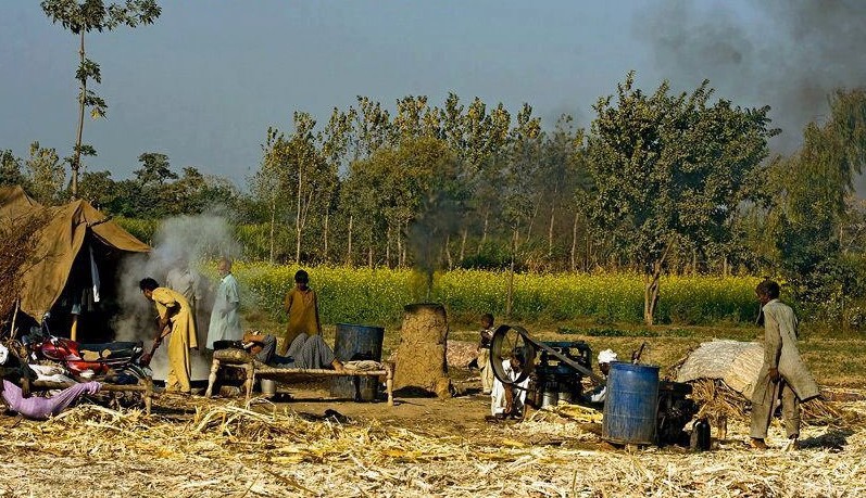 Pakistani Village Life: Villagers making 'Gur' (Raw sugar) from the sugarcane juice - Photos of Pakistani Villages, Pictures of Pakitani Villages