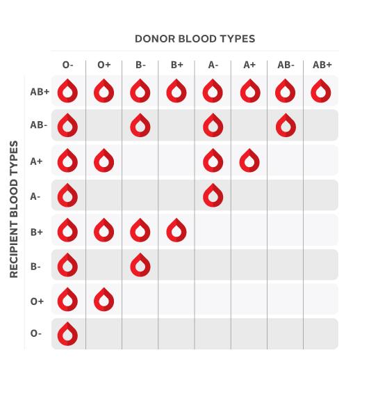 blood donation chart