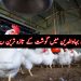Chicken Rate Today Mandi Bahauddin